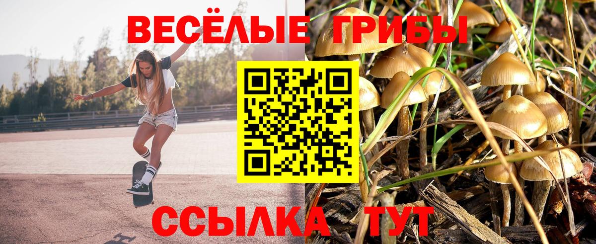 Галлюциногенные грибы MAGIC MUSHROOMS  Галлюциногенные грибы Psilocybe  Вход с VPN  Заволжье 