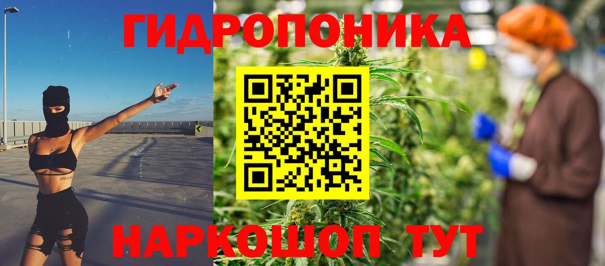МАРИХУАНА марихуана  Бошки марихуана планчик  Заволжье  Бошки марихуана марихуана  Вход с VPN 